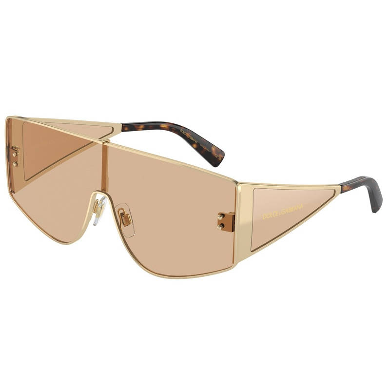 DOLCE E GABBANA 0DG2305-13655A
