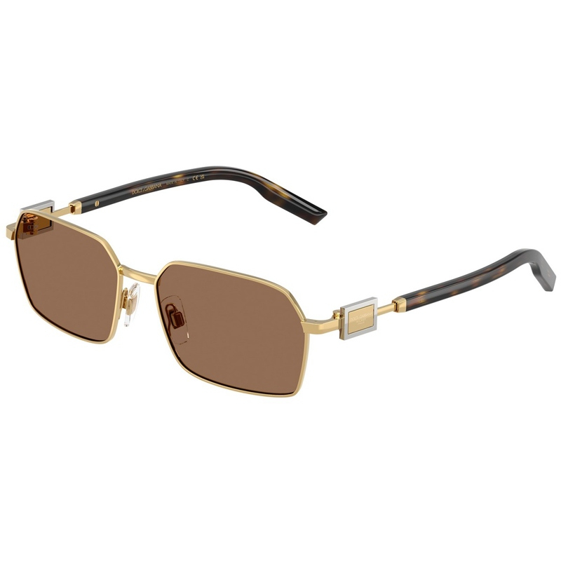 DOLCE E GABBANA 0DG2316-0273