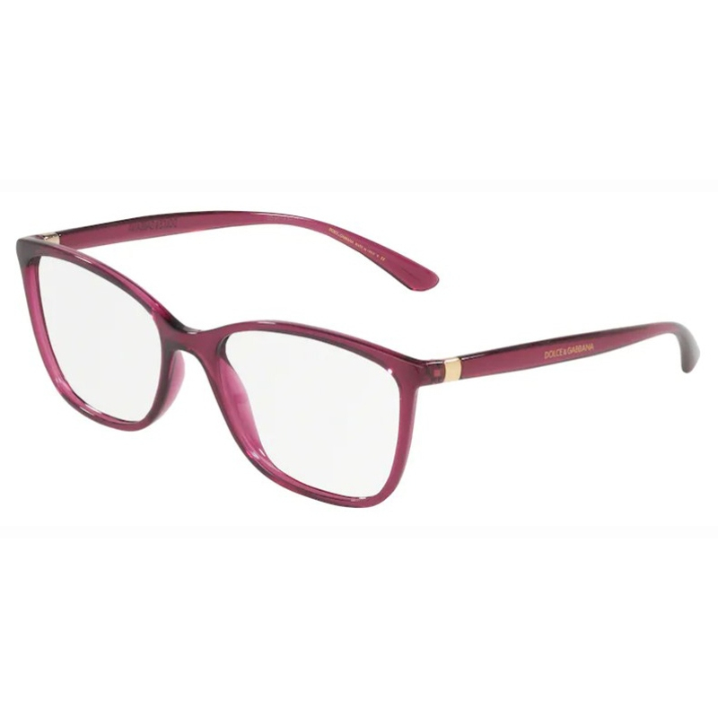 DOLCE E GABBANA 0DG5026-1754