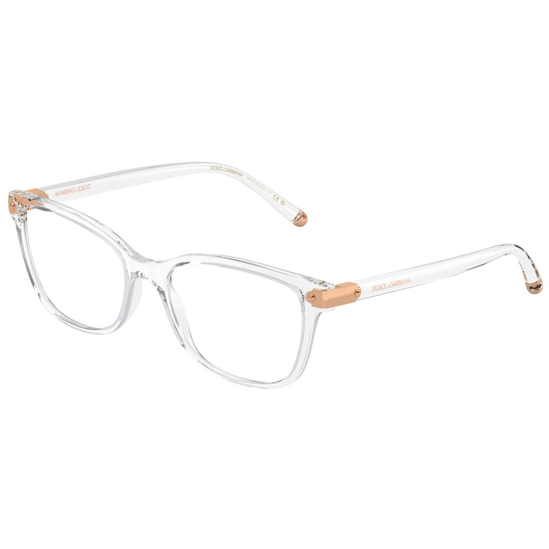 DOLCE E GABBANA 0DG5036-3133