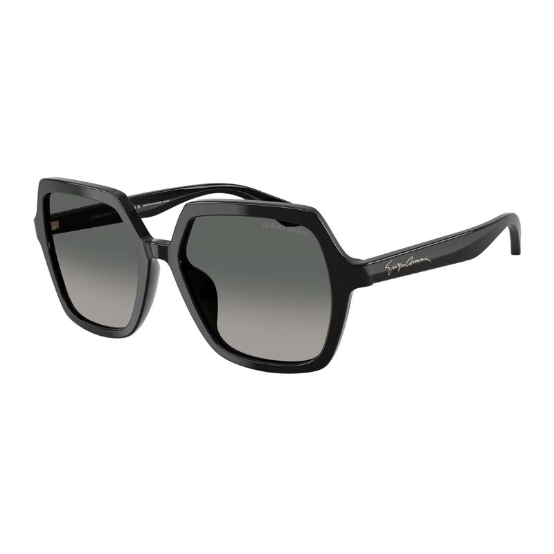 GIORGIO ARMANI 0AR8193U-500119