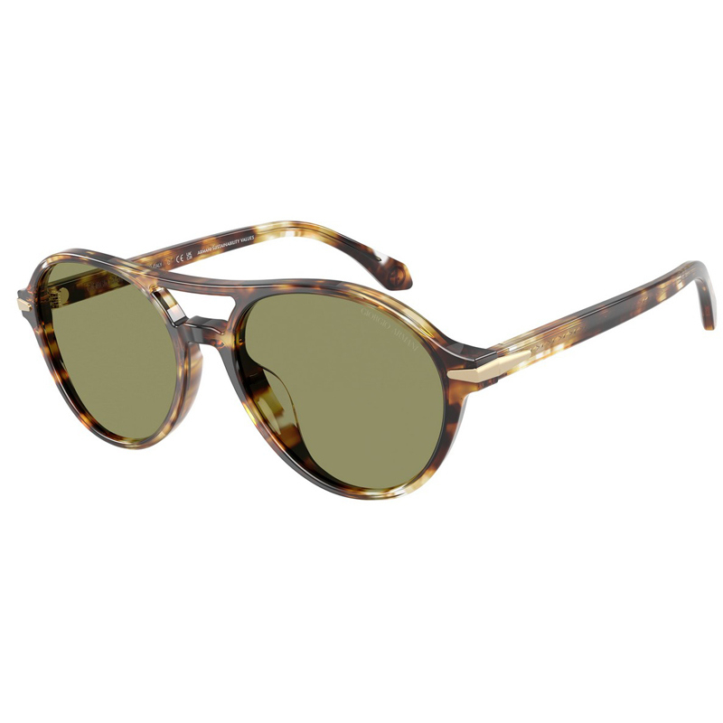 GIORGIO ARMANI 0AR8236U-623214