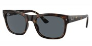 Ray Ban 0RB4428-710R5