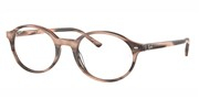 Forstør billedet, Ray Ban 0RX5429-8358.