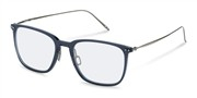 Rodenstock R7168-D