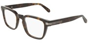 Salvatore Ferragamo SF3044-242
