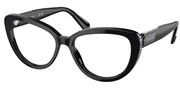Swarovski Eyewear 0SK2014-1010